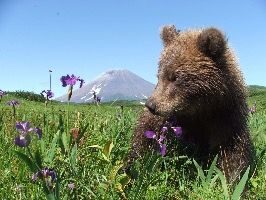 Экскурсионный тур Знакомство с Камчаткой
