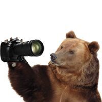 Фотографам на заметку