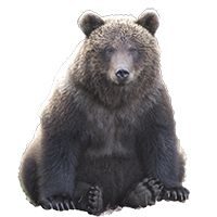 Камчатка глазами туристов
