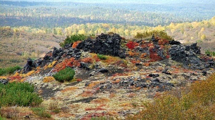 краски осени