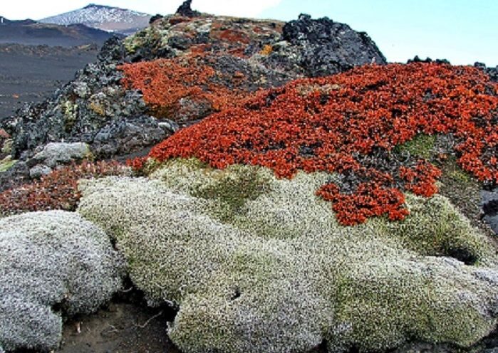 осенние краски
